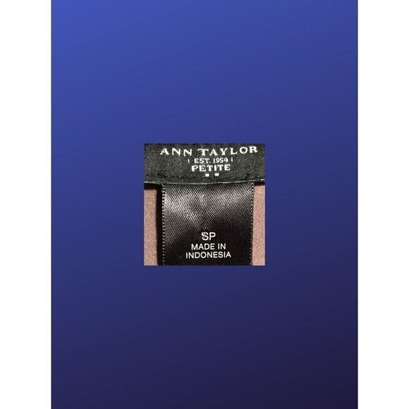 ANN TAYLOR PETITE Shutter Pleated Top, COCOA BROWN, Women's Size SP, NWOT - Picture 3 of 9